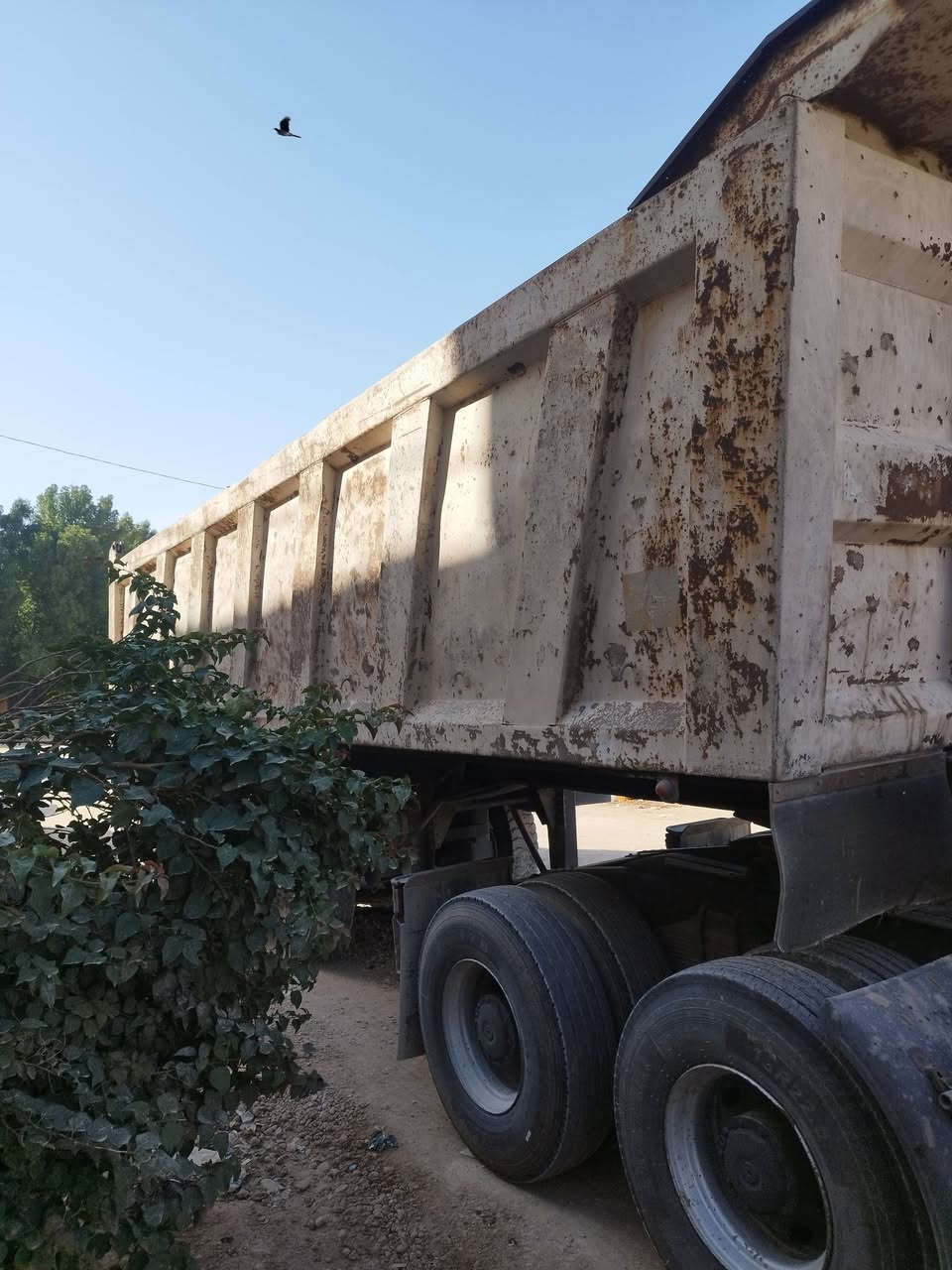 عليكم عربان للبيع ***********
