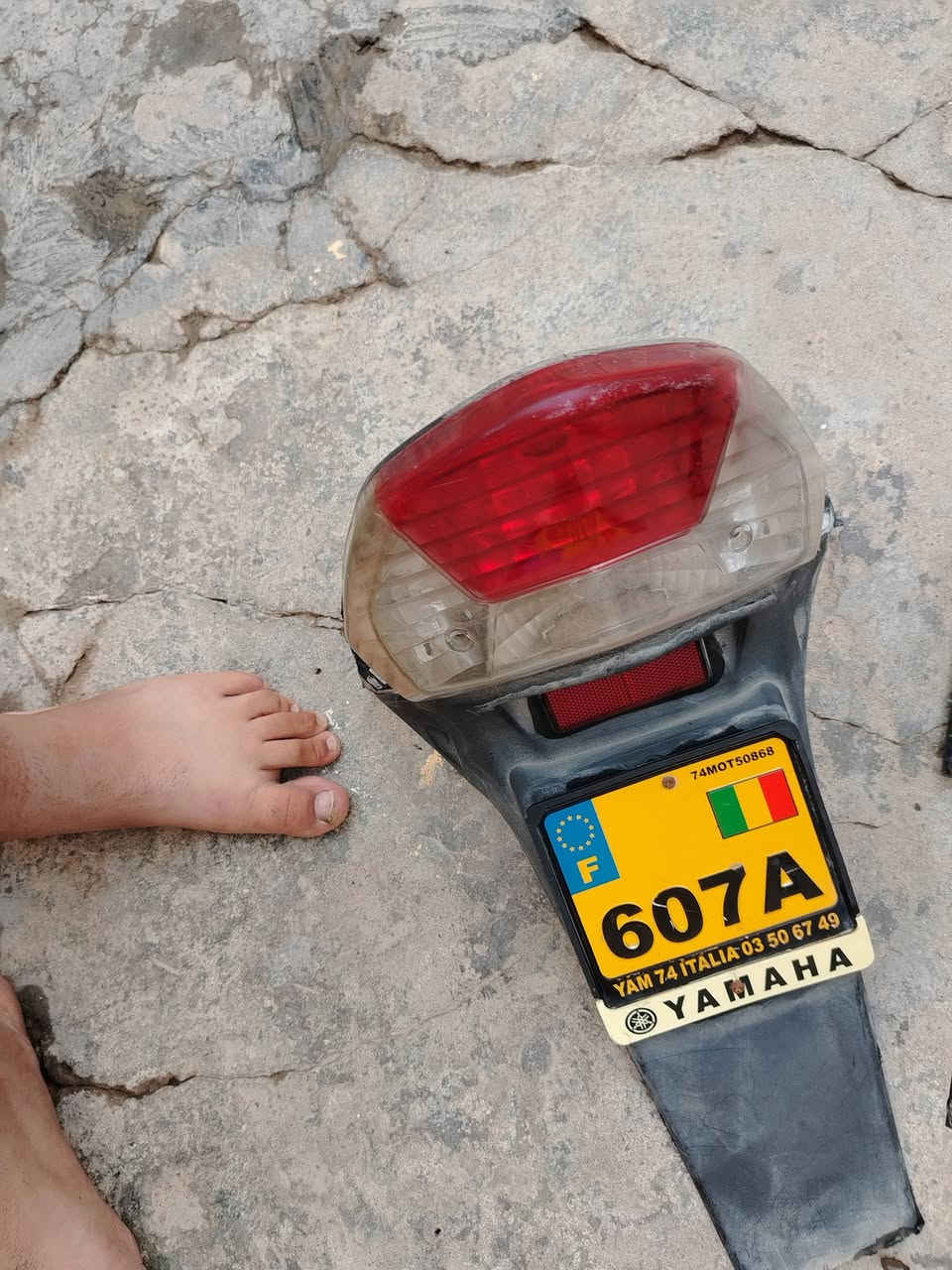 غراض ماكس منغولي اصلي بلاد للبيع رقمي *********** بلاد كلمن وسعره
