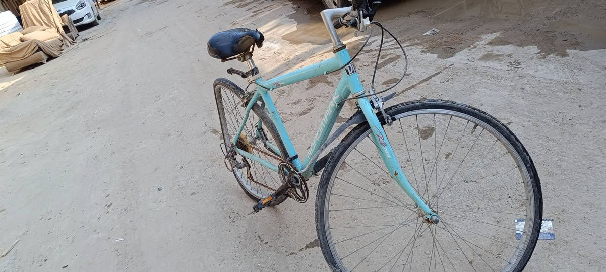 السلام عليكم من رخصة الادمن هاي بايسكلات للبيع. الواحد 50


**إذا كنت صاحب هذا الإعلان وتريد حذفه لأي سبب، رجاءا أرسل رسالة إلى الدعم الفني**