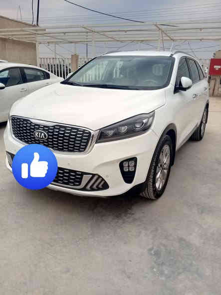 السلام عليكم
سورنتو 2020 رقم دولي واسط

المواصفات :
1- حجم المحرك 6 سلندر 
2- عدد المقاعد 7 راكب
3- تبريد 3 قطع  
5- كامرة 
6- حساسات امامي وخلفي 
7- مري شفط ، اشارات بالمري
8- بردات بلاديه 
9- تحكمات بالسترين 
10- كروس مثبت سرعه 
11- مود درايڤ ٣ وضعيات 
12- شاحن وايرليس 
13- شاشه اصليه apple car play
14- كشنات جلد
15- صندوك كهربائي  
16- كشنات تحكم كهربائي
17-  لايت زنون اصلي بلادي ٣ عدسات
وبعد مواصفات بيها 
 
✅ عداد المسافه 115كيلو متر 
السياره خليجيه كفاله عامة شرط الفحص 

موقع السيارة : واسط
سعر السياره  : 270
للتواصل واتساب : ***********
