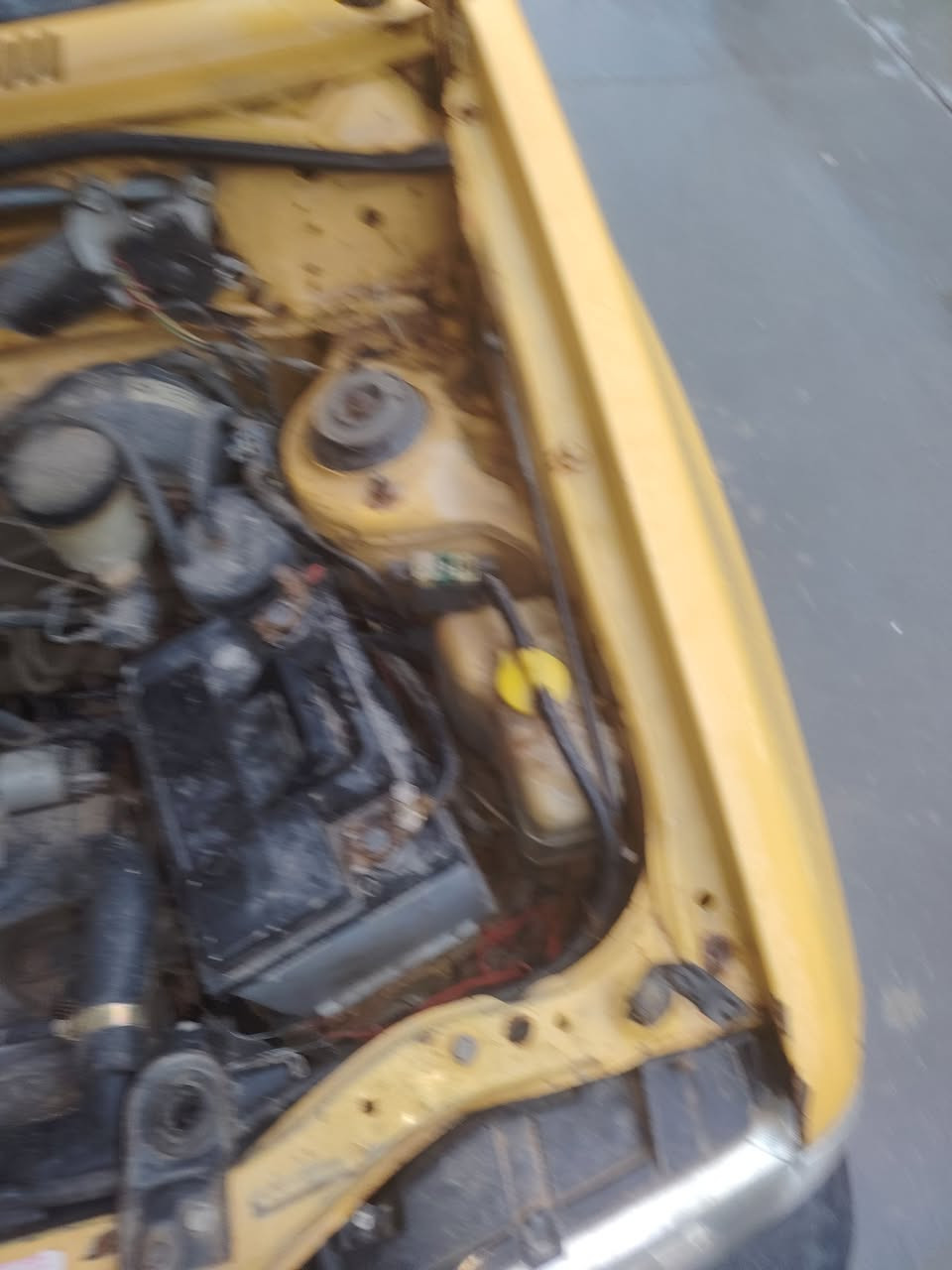 السلام عليكم سايبه للبيع شرط الوكاله والتحويل مكان السياره موصل أيسر تفاصيلها بل فيديوهات السعر 13 هيئه 250 وغرامات 100 ينشال من السعر سنويه مشروع وطني  رقم ***********
***********
مكلف بلنشر
