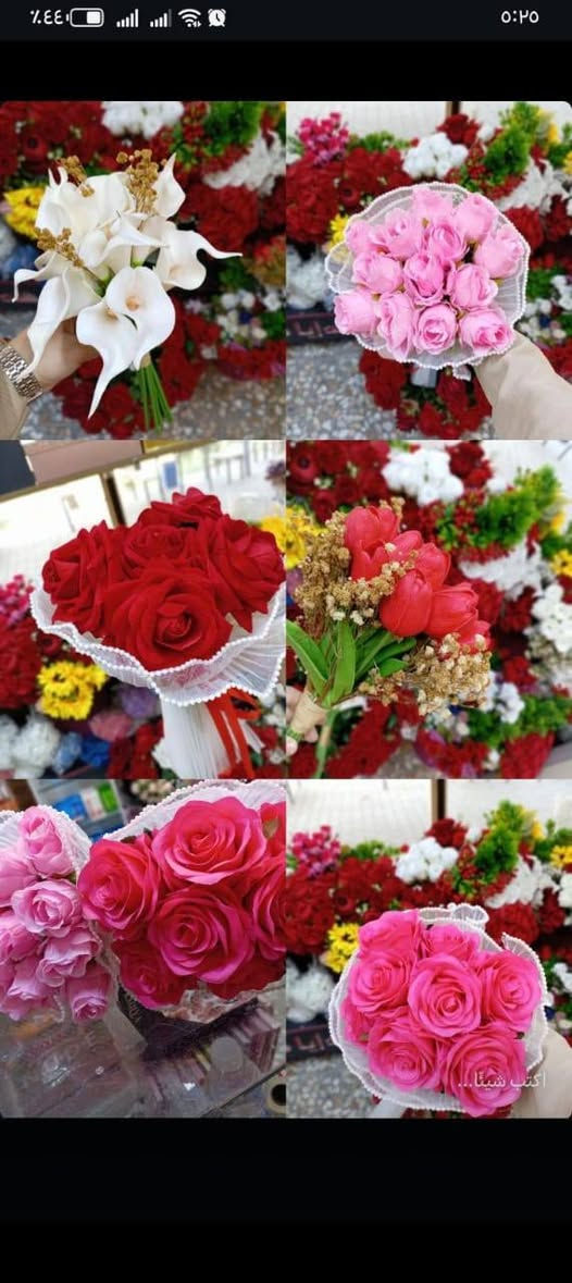 يتوفر لدينا بوكيهات ومسكات ورد  وهدايا وطباعة على الملابس اسعار مناسبة وتخفيات جدا. #ادم للجنط والاحذية 
#شارع المركز #مجاور عقيل الفتلاوي مواد المنزلية
#انستا Mjwhrt1954


**إذا كنت صاحب هذا الإعلان وتريد حذفه لأي سبب، رجاءا أرسل رسالة إلى الدعم الفني**