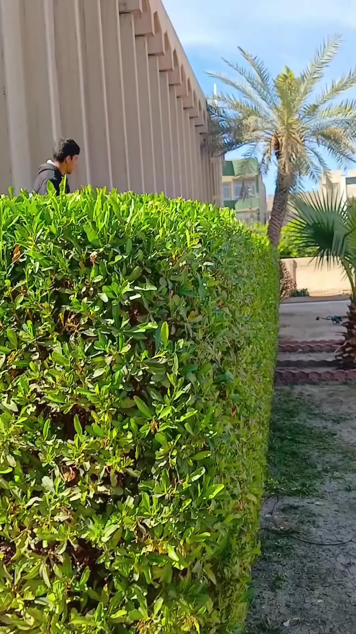 حارث الفلاح 🌿
تابعني وشوف شلون حديقتك راح تتغير 180 درجة ✨
تنسيق، قص ثيل، وإدامة بأحدث المعدات 🚜
للحجز (واتساب): *********** 📞
