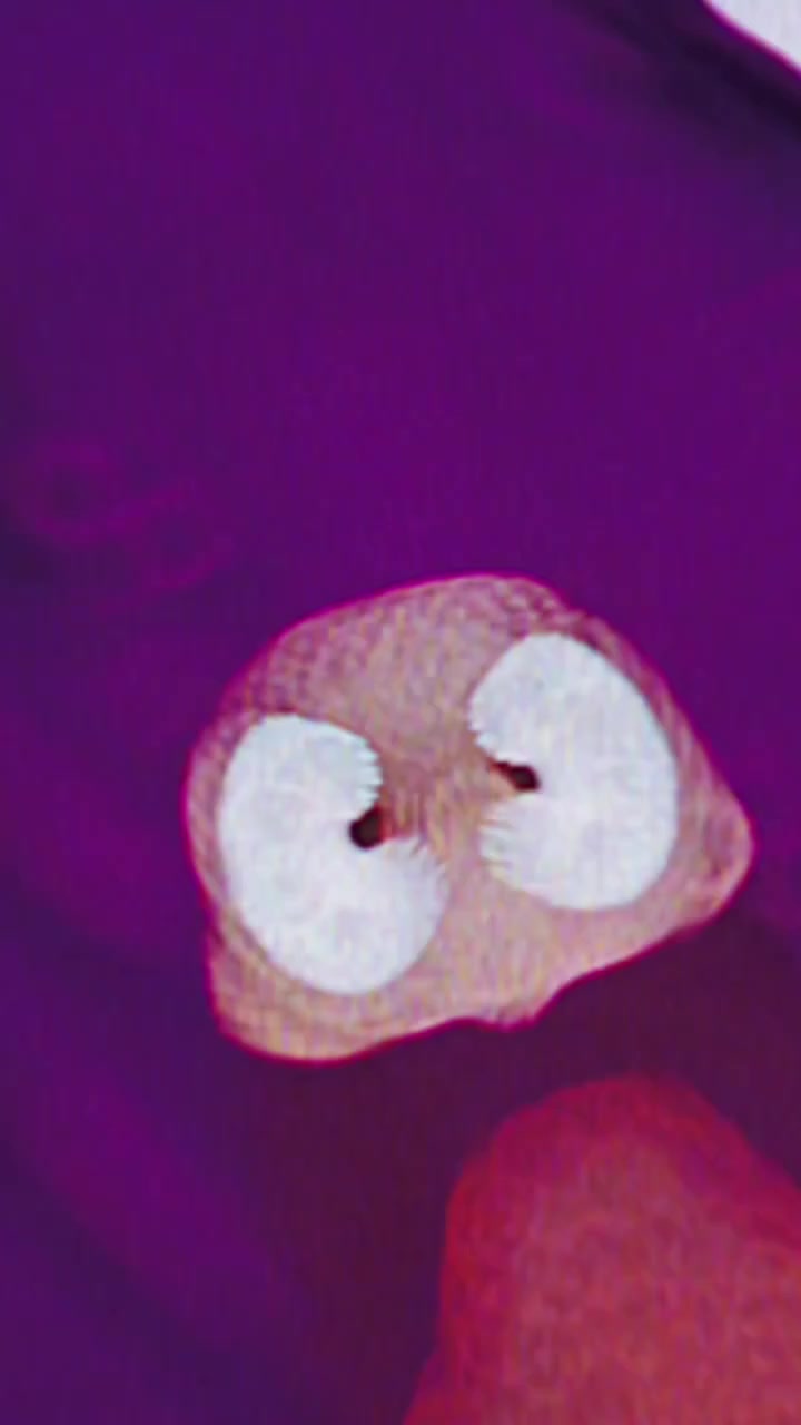 🌸 كوني دومآ متألقة 🌸
أجمل الموديلات لصيف 🌞2025🌞 

كررنا الموديل بكميات 😍

توفرت دشداشة مصممة بتطريز حياكة شكل البومة🦉🦉

دشداشة كشمير ايطالي مطرز حياكة خامة القماش كشمير الأيطالي الأصلي مكفول درجة أولى بارد غسل ولبس 😍✔️

القياسات : 2XL.3XL.4XL.5XL. قالب راهي ✔️

السعر 15 توصيل مجاني


**إذا كنت صاحب هذا الإعلان وتريد حذفه لأي سبب، رجاءا أرسل رسالة إلى الدعم الفني**