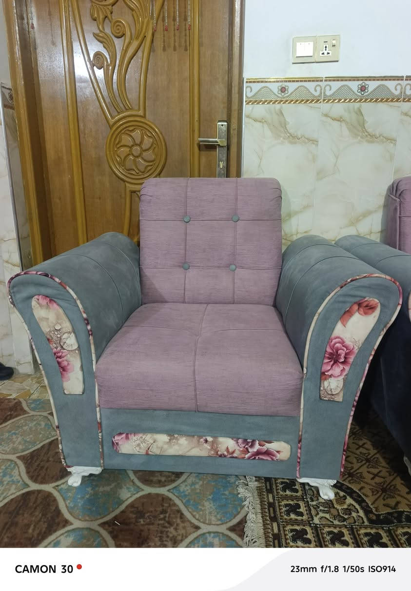 تخم تسكام شرط النضافه  للبيع 5قطع 10نفرات السعر خاص او الاتصال ع الرقم ***********
