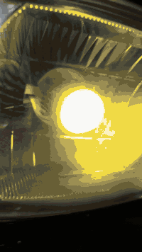 مديل ٢٠٢٥ دراجه جديده أوراق سكنر
مكاني كربلاء ***********
