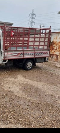 كيا • محجر • محموديه