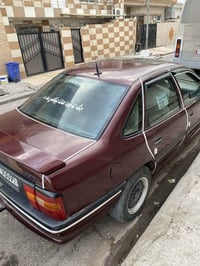 فيكترا • مصبوغة تجميلية • وكالة