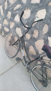 باسكل بطه • نضيف • يحتاج صجم