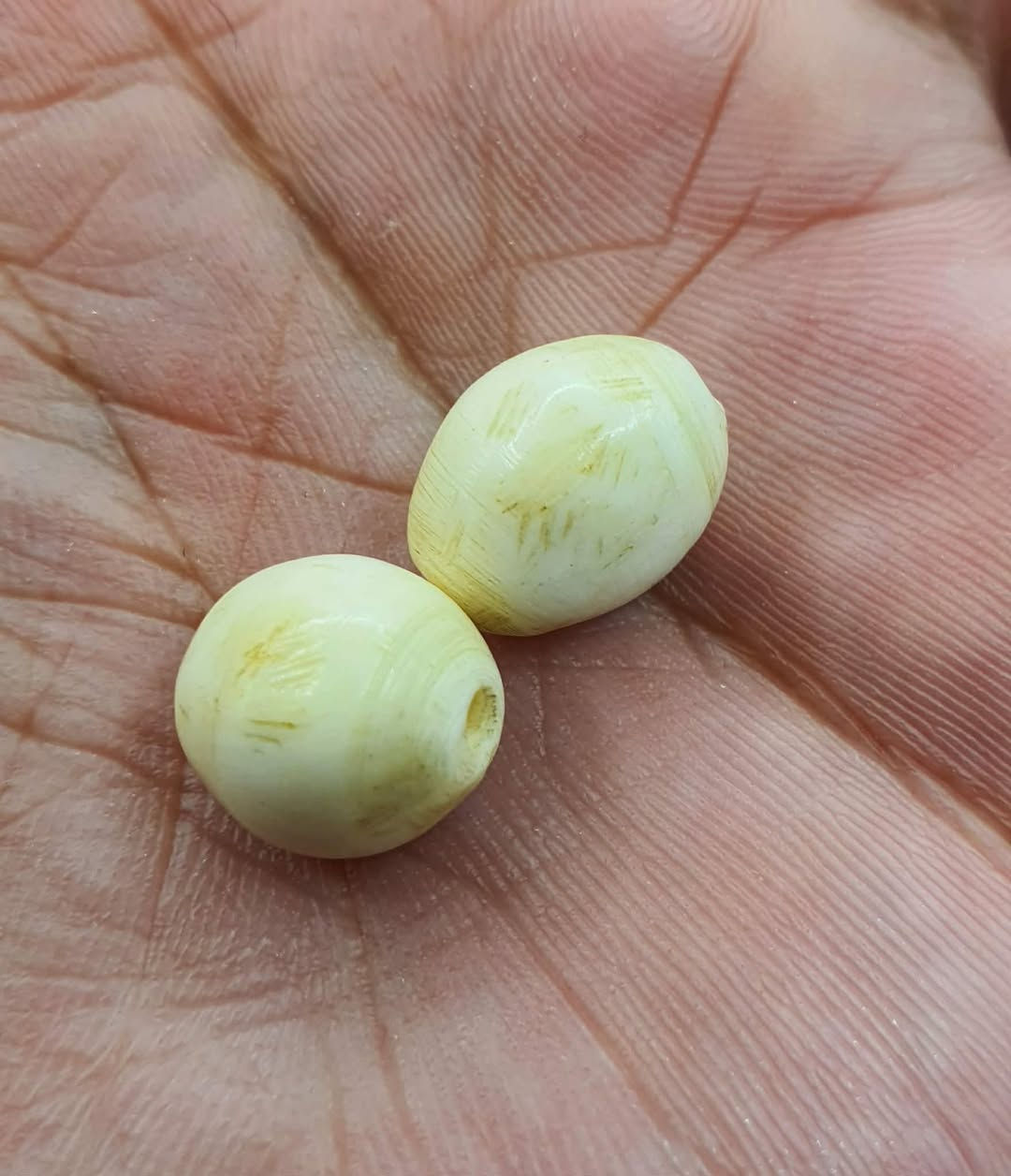 ماشاءالله…نوادر العطف البري القديم الأصلي عطف بري ملاكط للبيع بسعر ١٠٠ الف نهائي
***********
