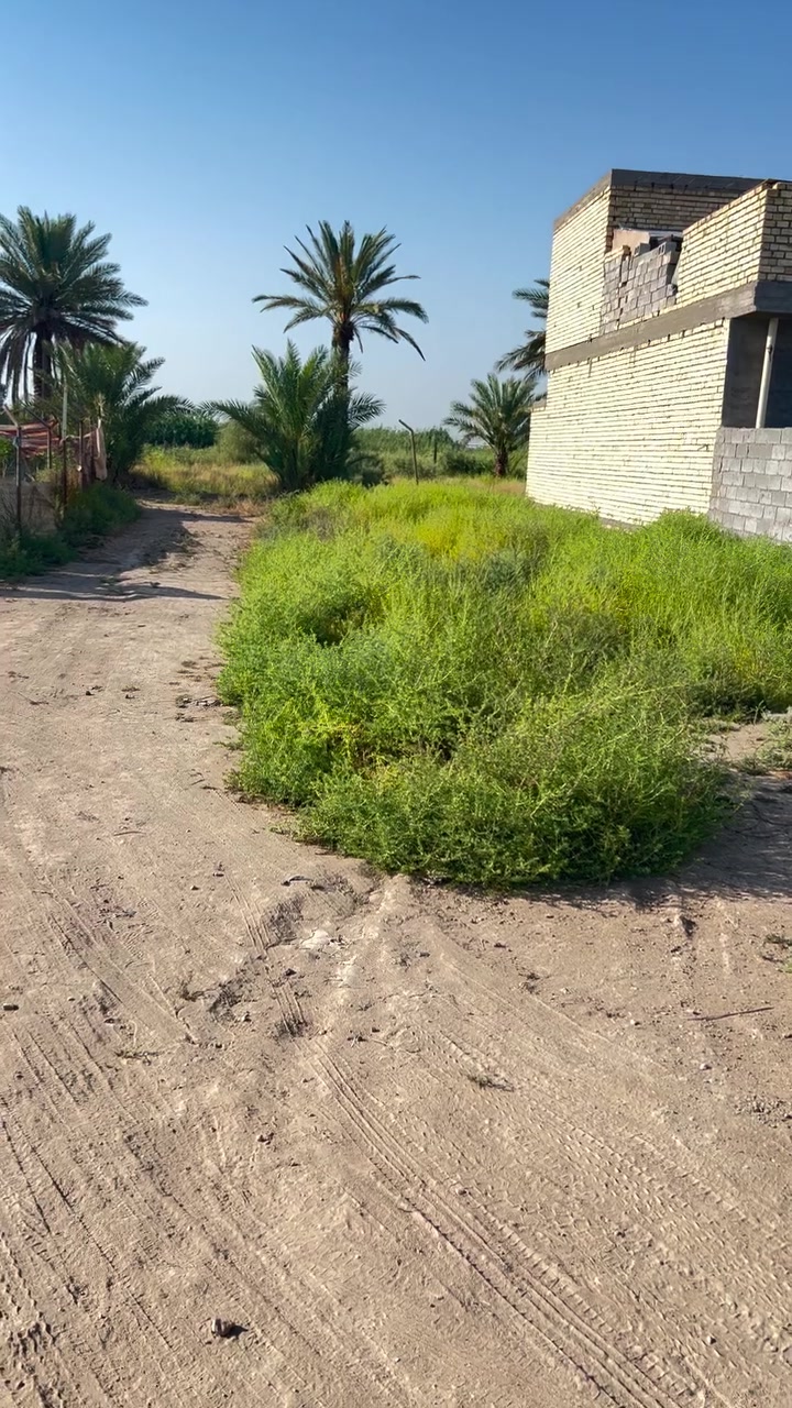 السلام عليكم قطعت ارض للبيع 300متر قرار 17
في منطقت السلاميات من جهت شارع البلوك قطعة حلوة وعلى منطقة موجهة بيع مستعجل عارضهة ب16. مليون مكاتبة بسمك كبل ***********
