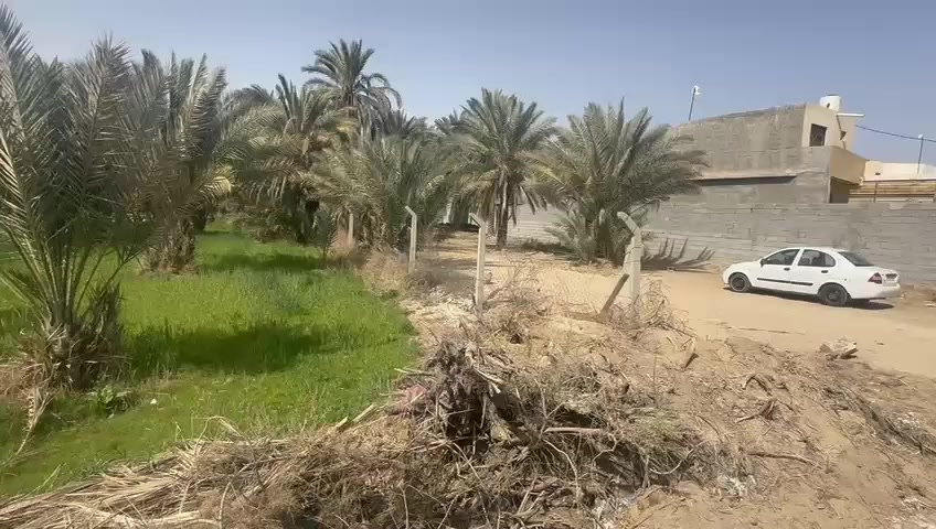 ألف ومائة متر طابو سند 25
خلف جامعة وارث الأنبياء 
كربلاء شارع بغداد سايد الدخول عامود 128
السعر 155 مليون
الاستفسار اكثر ***********
