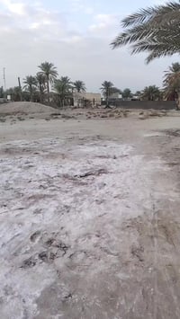 خلف جامعة بابل • دونم ونص • طابو زراعي