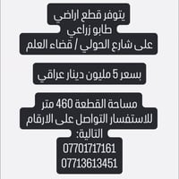 شارع الحولي • قضاء العلم • ٤٦٠م