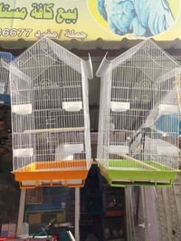 قفص • جملة ومفرد • السماوه سوك المخضر