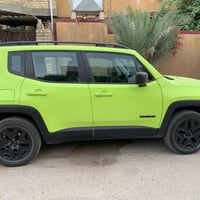 رينيجيد ترايل هوك • ٢٠١٨ • بدون صبغ