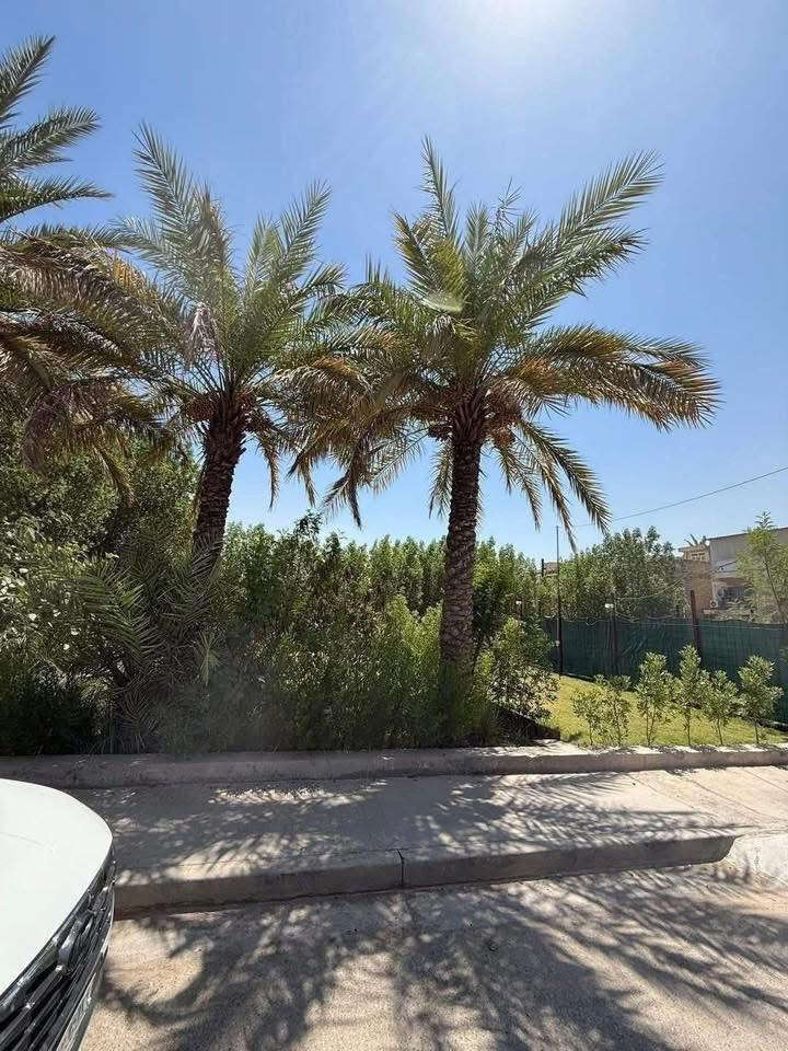 للبيع دار تفليش في السيدية 

دار تفليش المساحه 250 متر واجهه 10 متر نزال 25 متر

📍سند مستقل 

شارع 15 متر مع تشجير مقابل الدار 

الموقع الضباط مربع جامع الكبيسي مقابل الدار تشجير 
 
                           يباع كامل او قسمين 

عندك بناء 🏗️ وما عندك وقت تبني نحن نبني لك بأسعار تنافسيه وبكوادر هندسيه مع توثيق مراحل العمل بالتصوير حتى تكون مطمئن

‏‎المراسلة عبر الصفحة او الاتصال على الأرقام التاليه

عندك عقار تريد تستثمرة ومتعرف شلون ❗️

تكدر كلشي تسوي تبيع وتشتري وتستثمر وأنت مطمئن 💯
‏‎📲 أرسل رقم (1) وسيتم الرد عليك فورًا 

للاسـتفسـار الاتـصال علـى الارقـام التـاليه  او زيـاره مكـتب الجغامي للعقار السيـديه_شارع الضـباط_ بداية شارع سابلية مجاور مدينة العاب

للاستفسار ***********

━━━━━━━━━━━━━━━
#بيت #عقارات #منزل #بيع #وساطة_عقارية
#شركة #سيدية #بغداد #عراق
#عقارات_السيدية
#عقارات_الكرخ #ايجار_تجاري
#بنايات_سكنية
#عقارات_القادسية #عقارات_اليرموك #عقارات_المنصور
#عقارات_الحارثية #عقارات_الكاظمية #عقارات_الاعظمية
#عقارات_العطيفية #عقارات_حي_الجامعة
