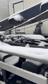 للبيع هذا جهاز ***********
