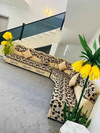 ديوان قنفه • نسبة٩٠٪ • عقره