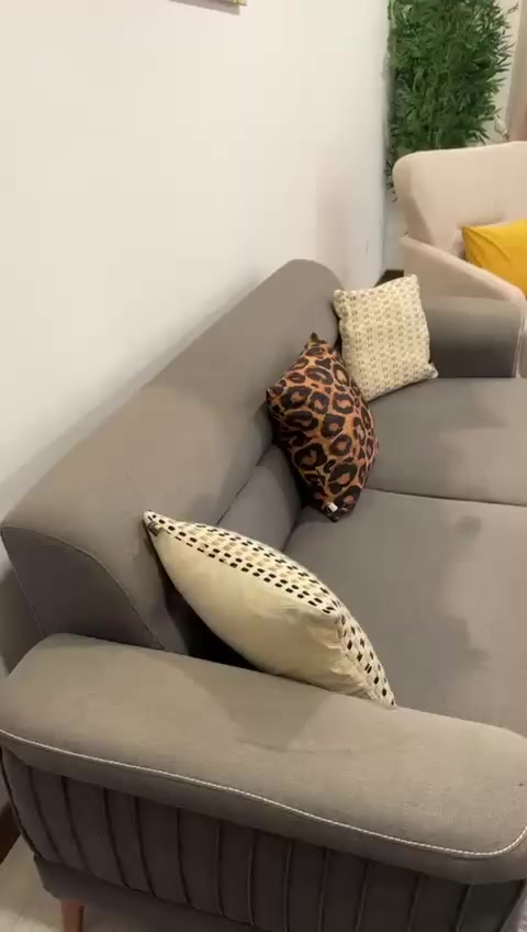 السلام عليكم تخم للبيع عشر مقاعد نظيف جدا. المكان بغداد الكرخ مجمع الريان السعر ب450وبي مجال


**إذا كنت صاحب هذا الإعلان وتريد حذفه لأي سبب، رجاءا أرسل رسالة إلى الدعم الفني**