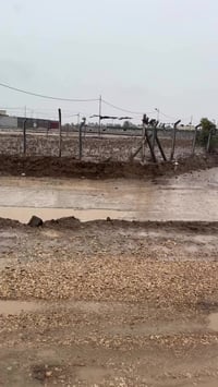 قطع زراعية • شارع الرسول • ٢٠٠٠م