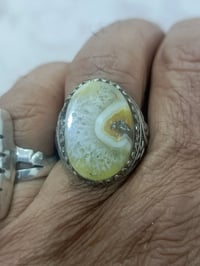 مراوس • محابس • توصيل