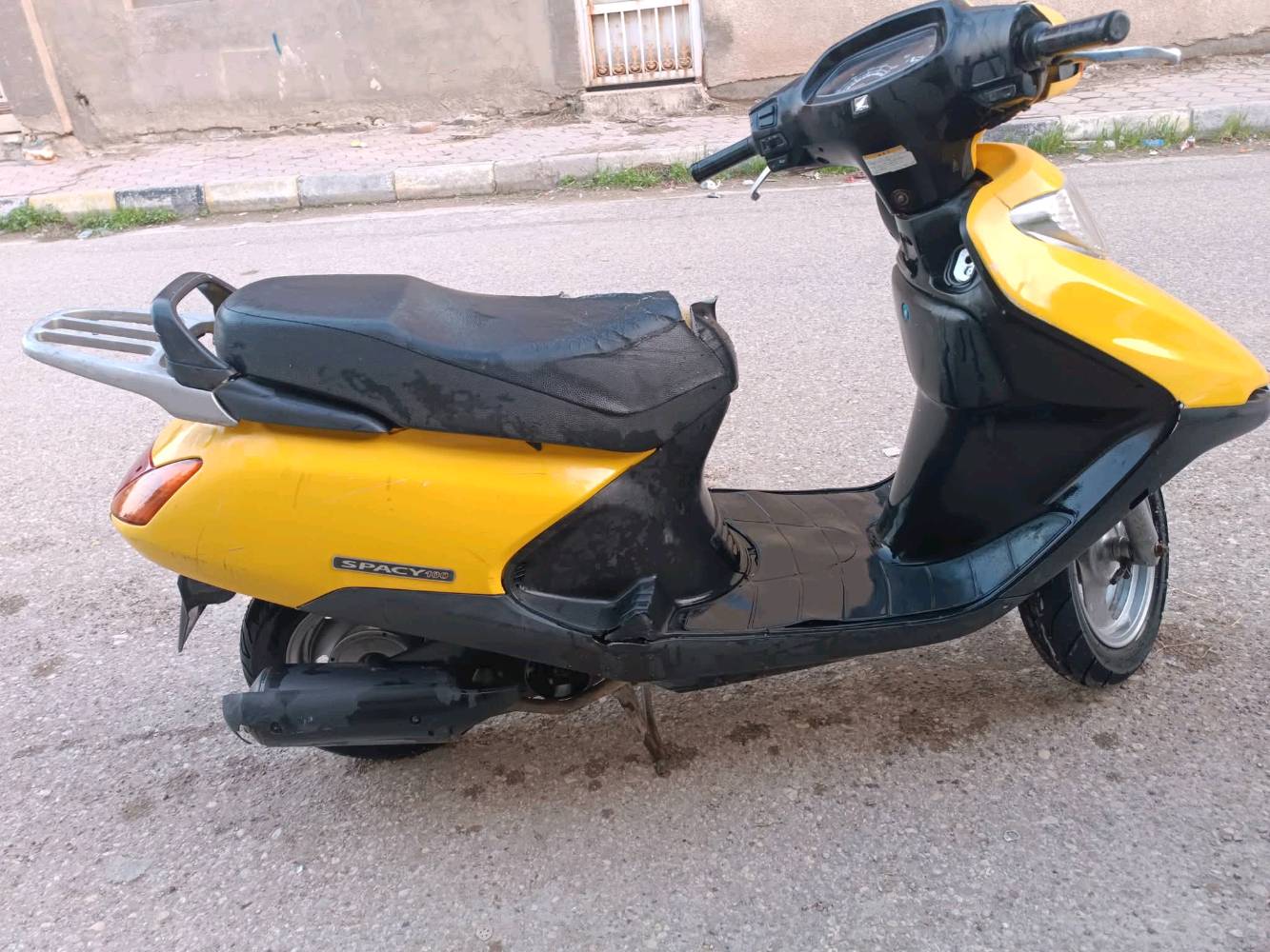 واسط / الكوت / الزهراء