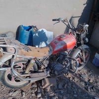 جوندة • اوراق • عوزه ترتيب