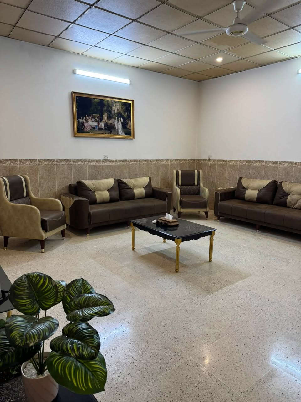 تخم درجة اولى تركي
12 مقعد نظيف سعره 500 
📍العنوان اربيل 

رقم الهاتف ***********

