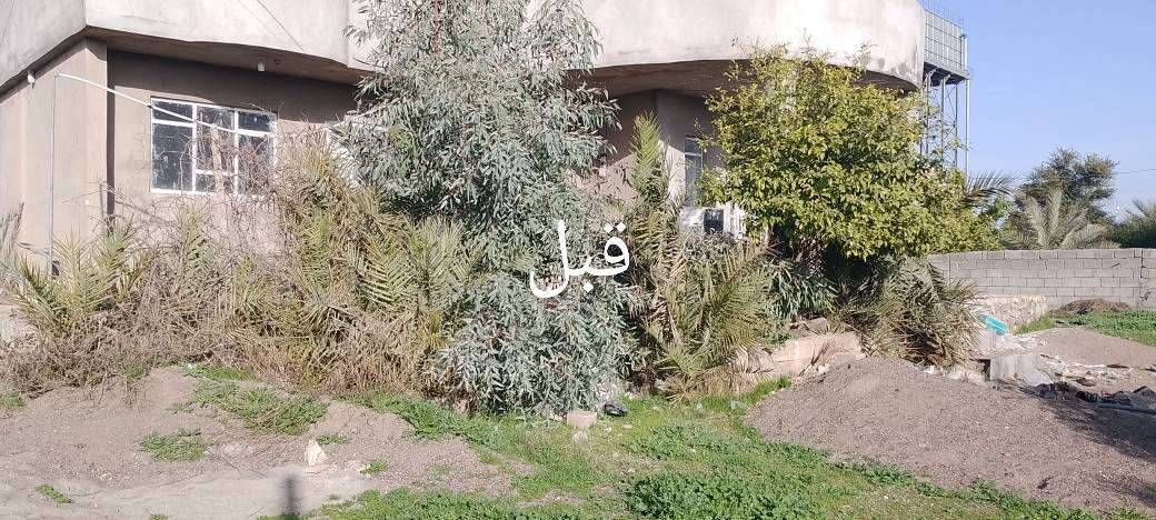 سلام عليكم اخوتي موجود كادر عمال شغل حر تنضيف بيوت   اندخل جص نكل بلوك نكل حجر كلشي نشتغل رقم الهاتف /***********ملاحضه كادر موجود برمضان
