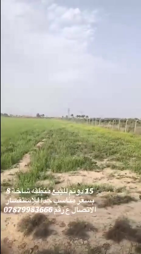 السلام عليكم يتوفر 15 دونم منطقه حي الوحده  للاستفسار اتصال على الرقم 
***********
