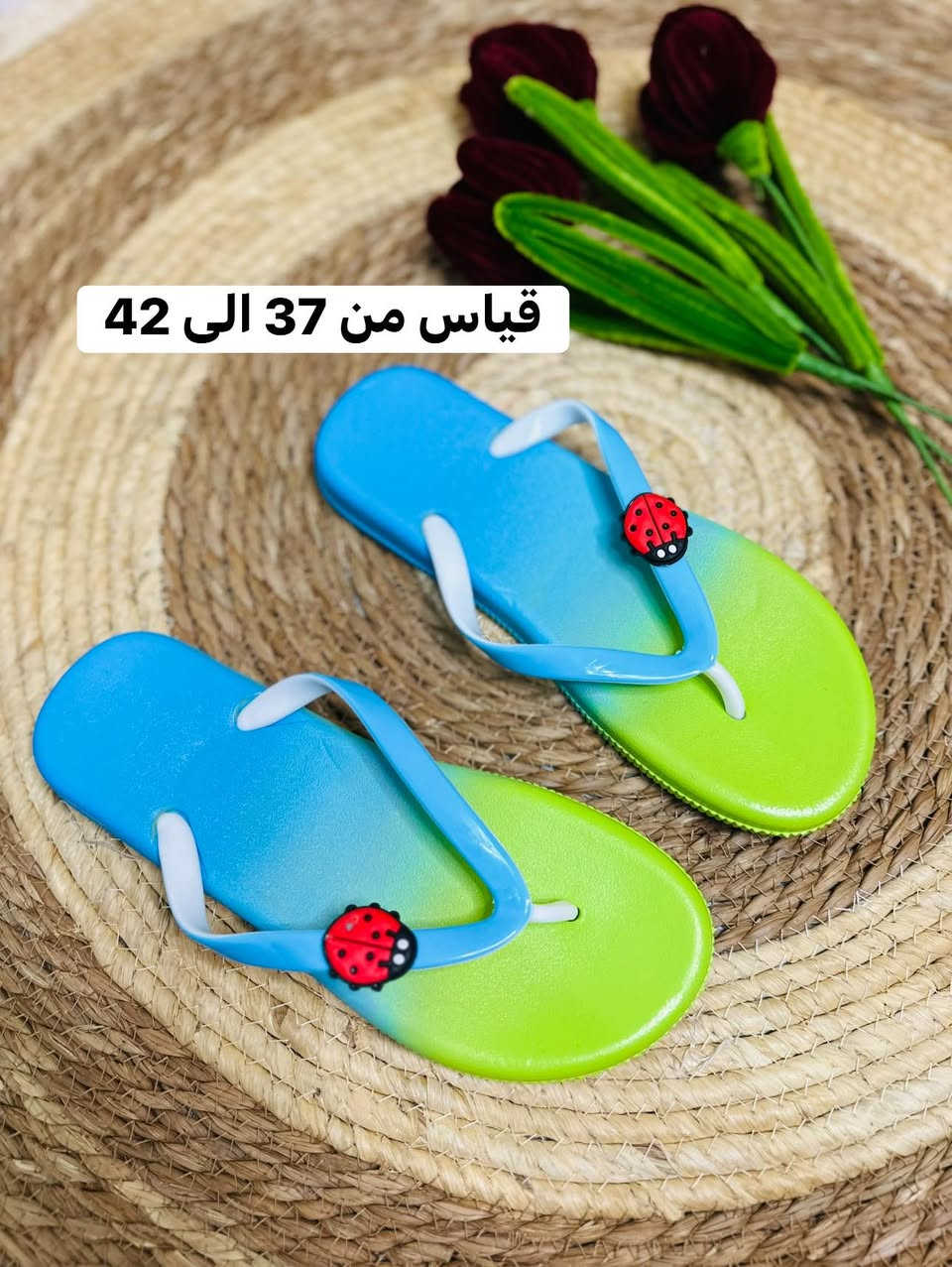 سلبرات 
ولادي + نسائي + رجالي 🫰🏻

قياسات داخل الصوره


**إذا كنت صاحب هذا الإعلان وتريد حذفه لأي سبب، رجاءا أرسل رسالة إلى الدعم الفني**