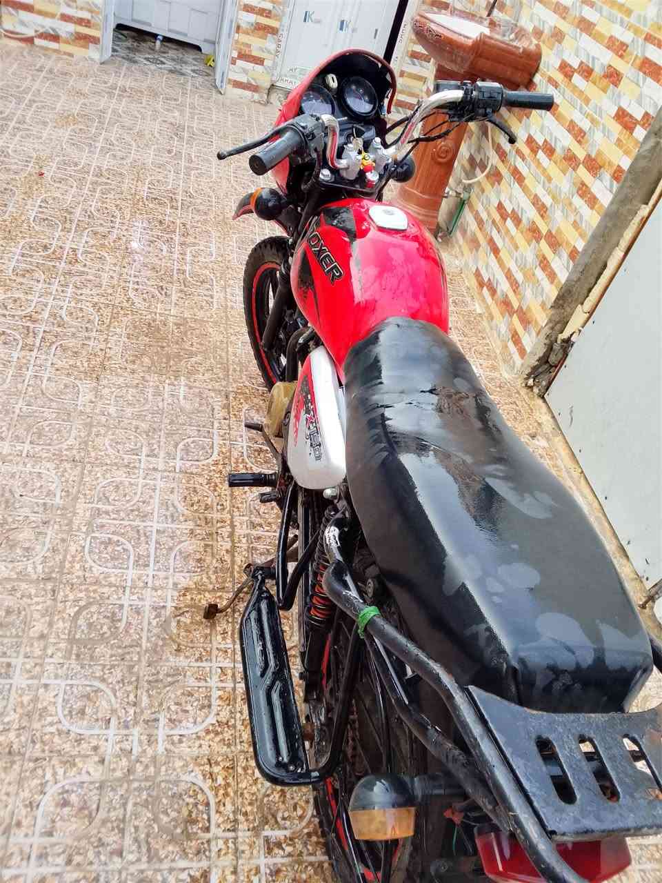 بوكسر موديل 21 أوراق اصولي للمراوسة ب اربعه كير نضيفة ***********
