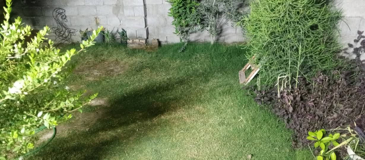 سلام عليكم بيت حواسم الحسينيه مصقط بدايت شارع الشركةبيت جاهز***********وطني سحب انترنيت من كلشي جاهز
