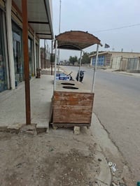 عربانه لبلبي وباگله بدون ضرر فصال السعر 175 العنوان بغداد العماري قرب ...