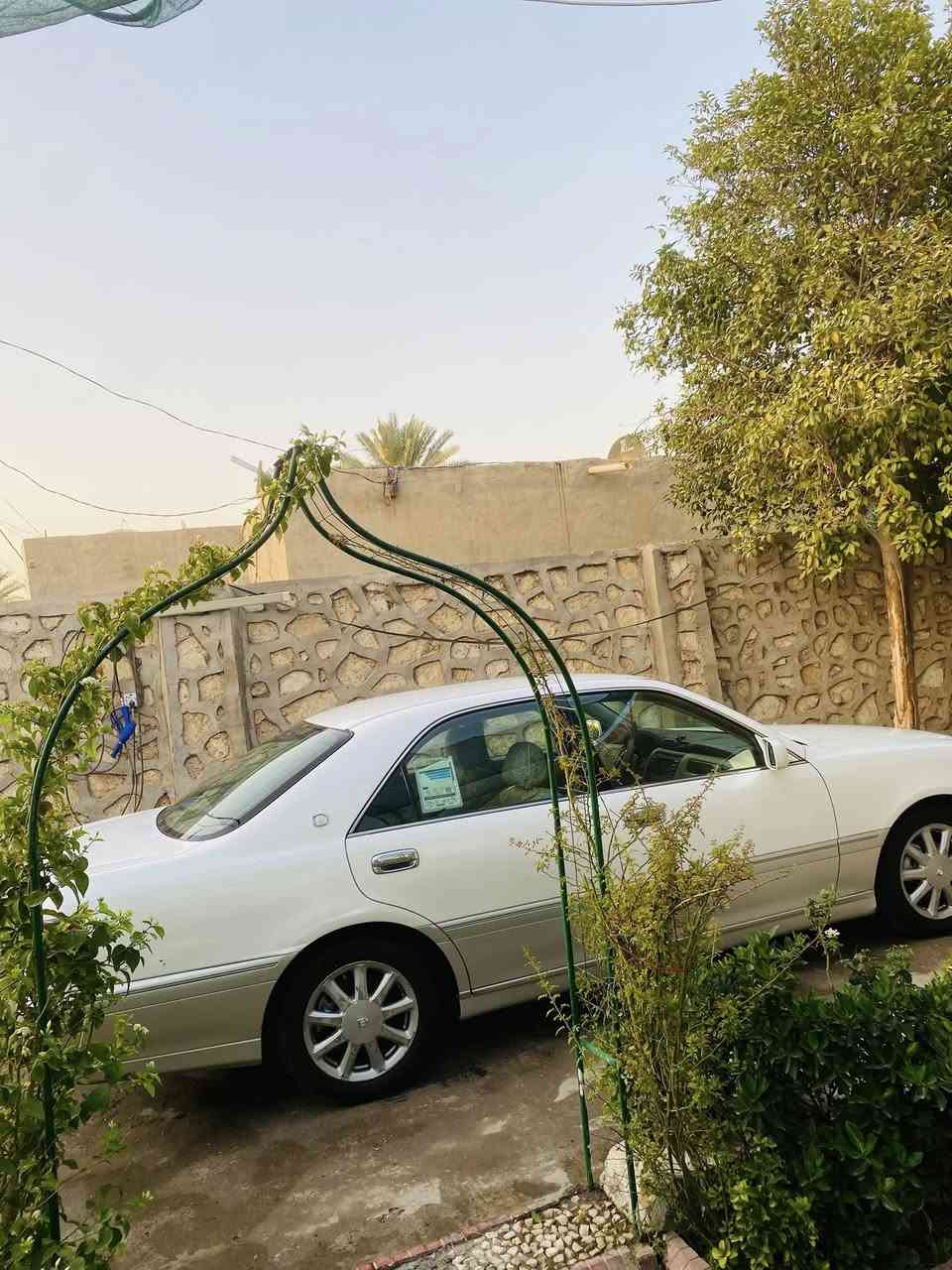 ملكه رقم كركوك كامله مداور  ٣دكم ديفور الكبير 
بيه طخه بلجاملغ الخلفي فقط الهلال 
السعر ١٣٠وبيها مجال 
رقم الهاتف *********** وبي واتساب
