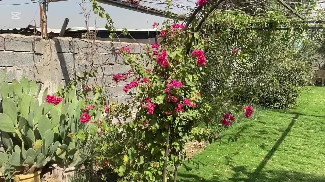 السلام عليكم اخوان
< دار للبيع غرفتين ومطبخ وصحيات >

< مساحة الكلية ( 266 متر ) طابو زراعي سند 25 > 

< منطقة الولداية الثانية قرب السده > 

< للستفسار اكثر الاتصال على هذا الرقم .

***********
