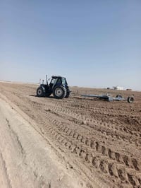 البيع, 07864927439