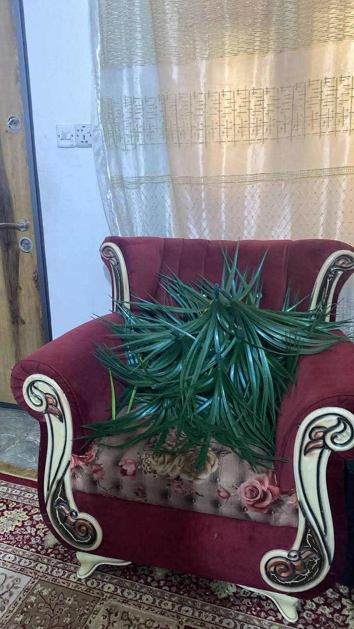 تخم سبعه مقاعد سعره ١٥٠ وبي مجال عنوان بغداد الجديده


**إذا كنت صاحب هذا الإعلان وتريد حذفه لأي سبب، رجاءا أرسل رسالة إلى الدعم الفني**