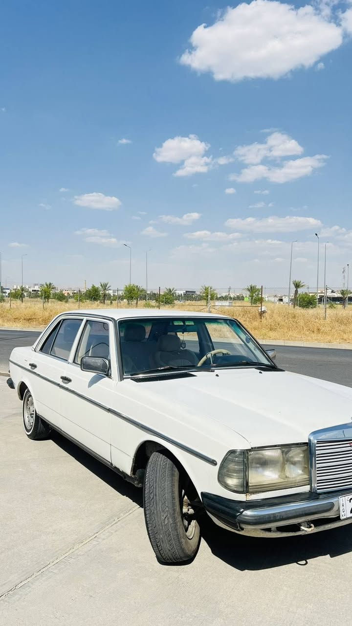 مارسیدس کلاسیک 1984
مارسیدس تەخت
سڵاید
سەیارەیەکی کلاسیکی جوان و تایبەت
تەحویل و غەرامە بەشەرت
هیچ مەسرەفێکی تێدانیە 
تەقەو ڕەقەی بەشەرت 

سـعـر : لە کۆمێنت داوابکە ڕاستەوخۆ بۆت دێت 📥 

گێر و مەکیەنەی بەشەرت 
هیچ کێشەیەکی تێدا نییە 

ژمارەی خاوەنەکەی 
***********
