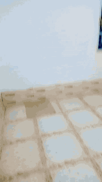 حي سومر • شقة للإيجار • غرفة واحدة