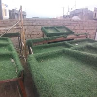 ٦ ميوزه • نظيفه • ديكور