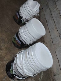 صطوله للبيع الزوج ب٣٠٠٠ بيهن ٤٠سطل ٠٧٧١٥٥١٤٤٦٨ خط فقط