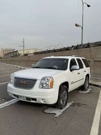 دنالي • ٢٠٠٩ • كفاله عامه