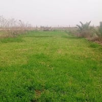الكوت • دونم واحد • سند ٢٥