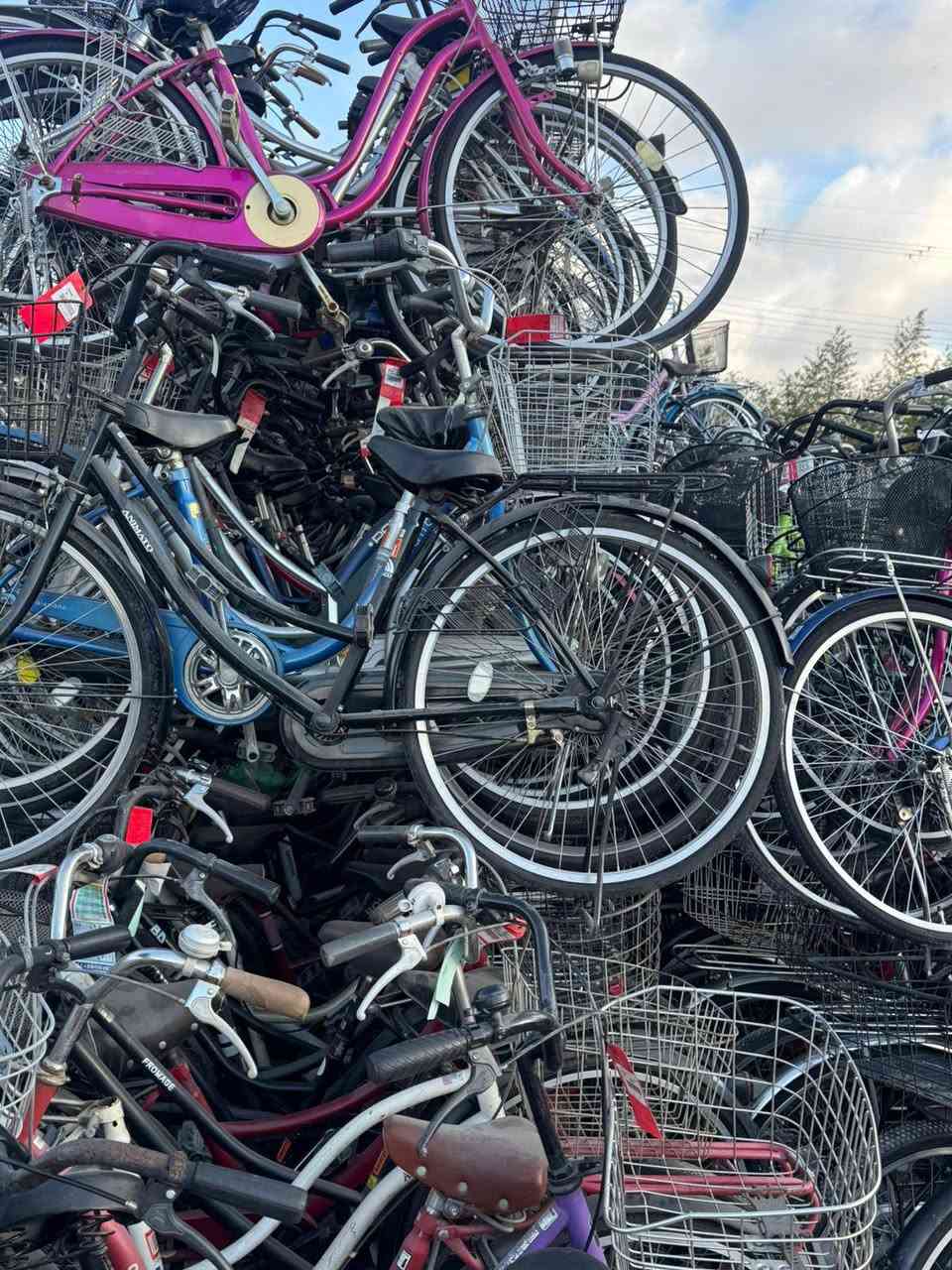 مستعدين لتحميل حاويات من ارض اليابان الى كل تجار العراق حسب طلبك
بايسكلات ياباني جملة مفرد حاويه للبيع بسعر الجمله🚲🇦🇺🇧🇻🇦🇮🇦🇫
بابل، ناحية السدة المفرق👏
مجمع القمة الجديد للبايسكلات قرب مطعم اجواء بابل 🌹🌹🌹🚲🚲🚲

*********** احمد الغانمي
شنو تريد اكو وبسعر مناسب
#بناتي٢٦ ٢٧. بكل تفاصيله  🌹🚲🌹🚲
#اطفال ١٤،١٦،١٨
#جبلي ٢٦ و٢٧ ياباني
#يطبك جبلي
#عرباين اطفال باله وعرباين احتياجات خاصة
#ماركات عالمية ووووو♥️🚲♥️🚲
#يوجد توصيل جميع المحافظات
