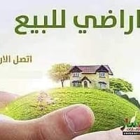 الزراعة • ٢٥٠م • طابو ملك صرف