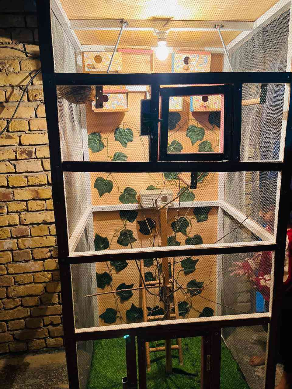 سلام عليكم قفص حديد بلكامل للبيع أرتفاع 190 عرض 85 صفاحيه75


**إذا كنت صاحب هذا الإعلان وتريد حذفه لأي سبب، رجاءا أرسل رسالة إلى الدعم الفني**