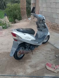 ماكس منغولي • نضيفه • ما بيه نقص