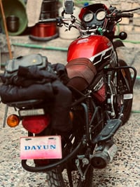 دايون • أوراق كاملة • صقر ذهبي